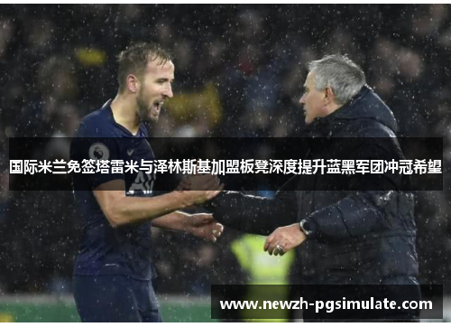 国际米兰免签塔雷米与泽林斯基加盟板凳深度提升蓝黑军团冲冠希望